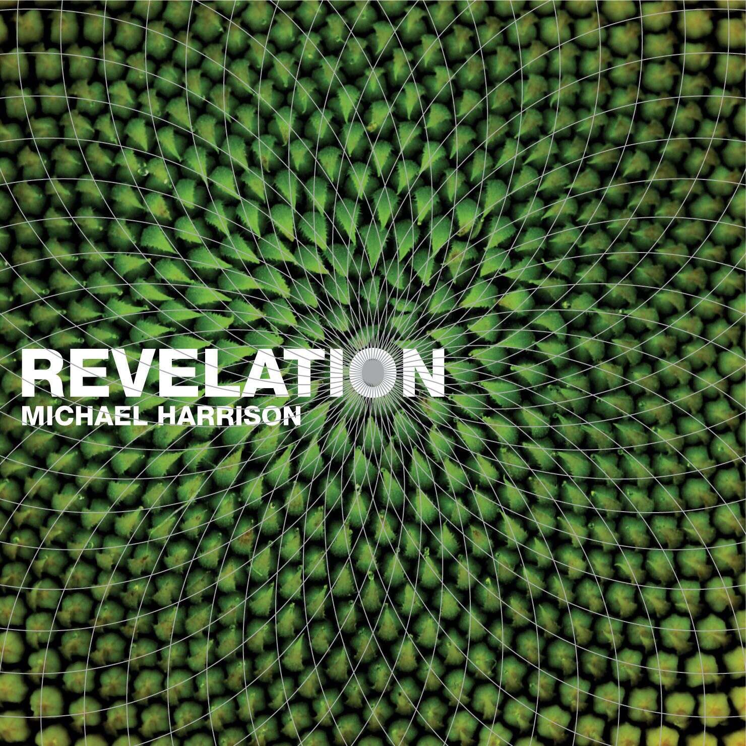 Revelation: Music in Pure Intonation cover